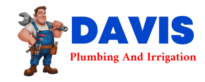 Trusted plumber in RICEVILLE